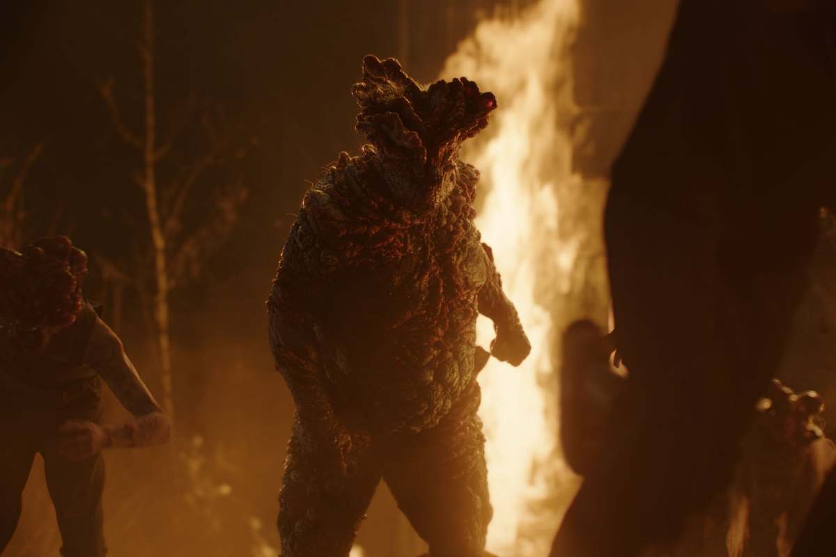 La saison 2 de The Last of Us promet des infectés bien plus terrifiants : le Roi des rats va-t-il débarquer ? La saison 2 de The Last of Us promet des infectés bien plus terrifiants : le Roi des rats va-t-il débarquer ?