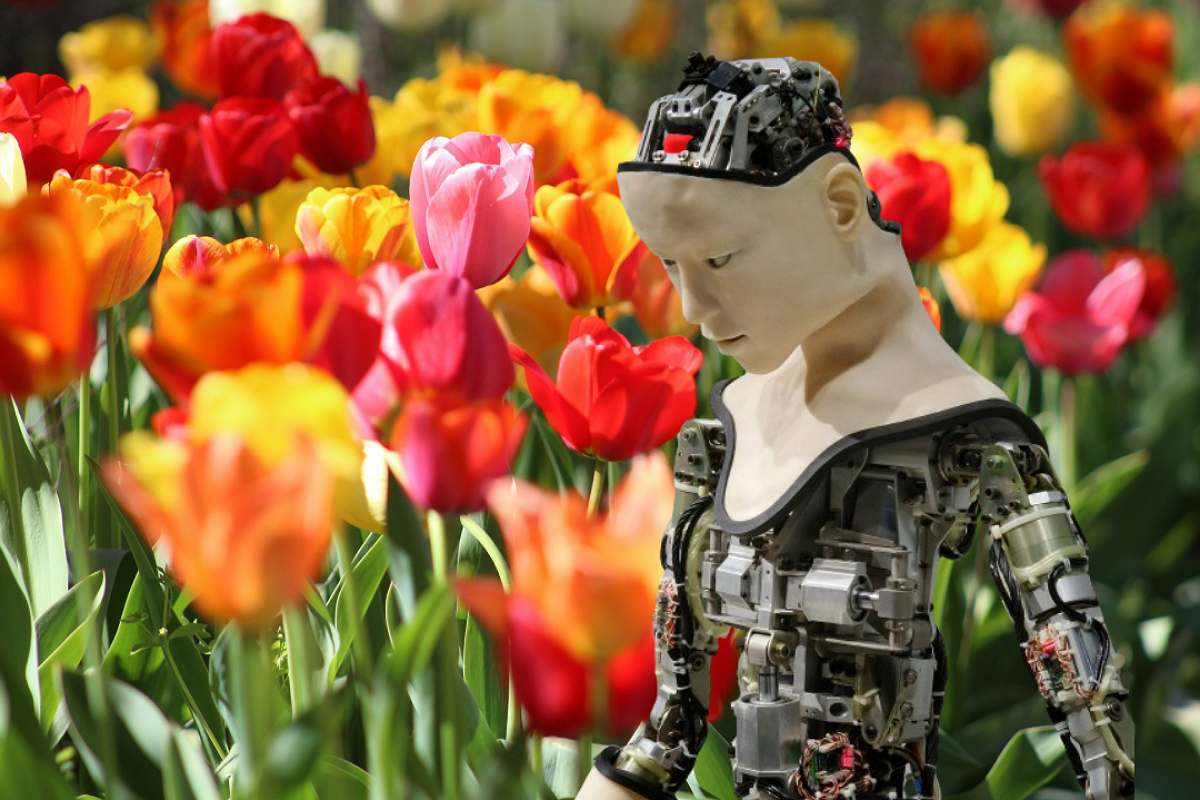 Un groupe d’experts apprend à l’intelligence artificielle à reconnaître les odeurs sans avoir besoin de sentir Un groupe d’experts apprend à l’intelligence artificielle à reconnaître les odeurs sans avoir besoin de sentir